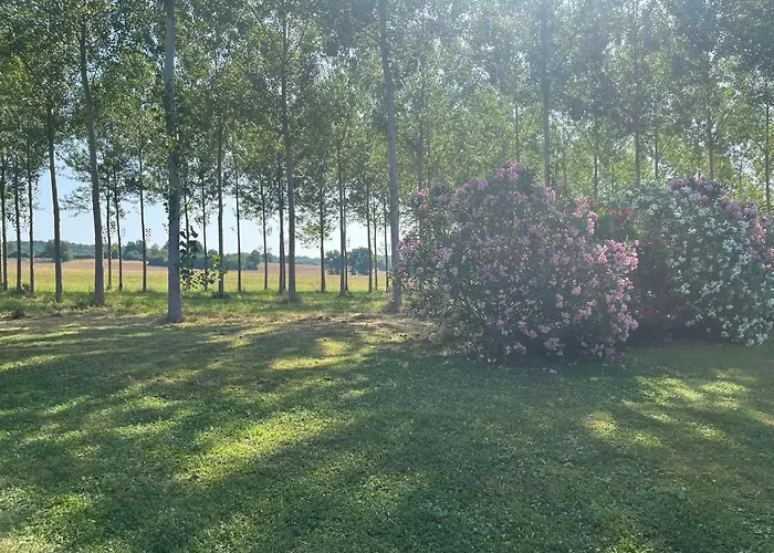 Holiday home Les Bardots *